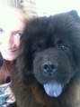/album/fotos-zoe-s-city-dog/i-phon-1696-jpg1/